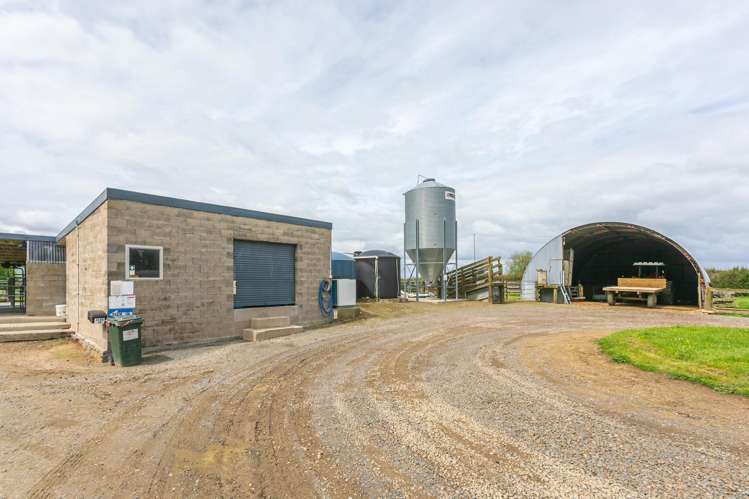 696a Tower Road Matamata_5