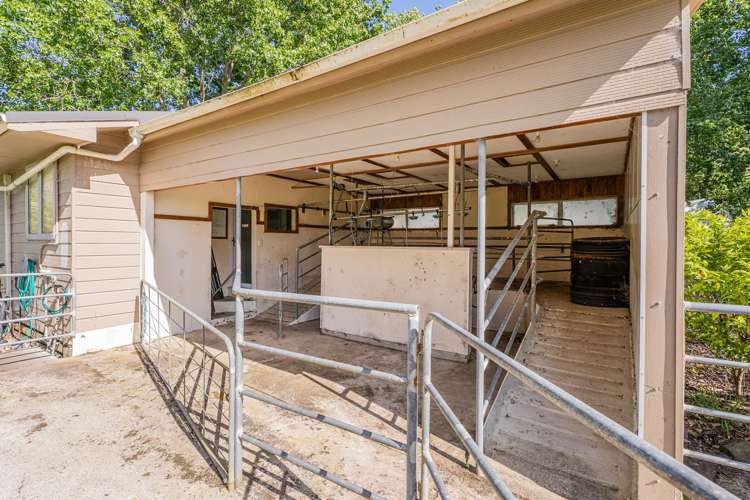 3263 Tairua-Whitianga Road Whitianga_28