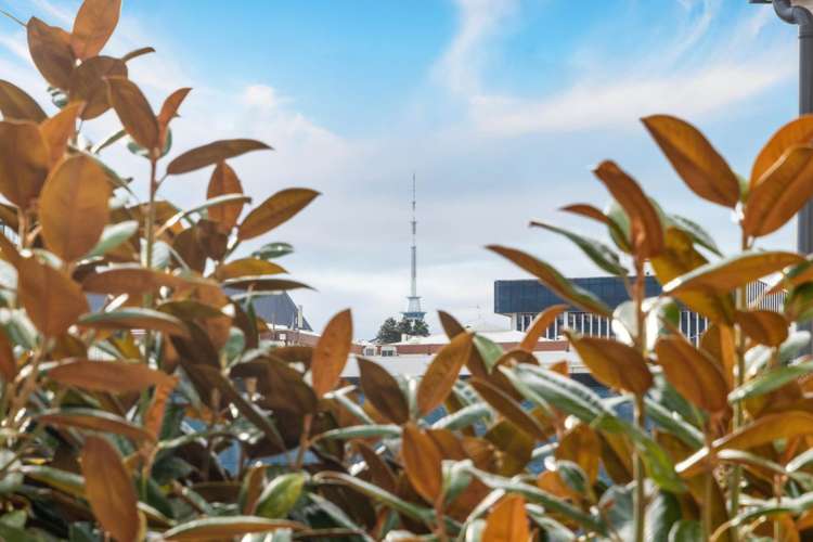 25/22 Normanby Road Mount Eden_11