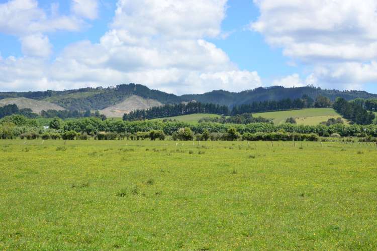 464 Woodcocks Road Warkworth_12