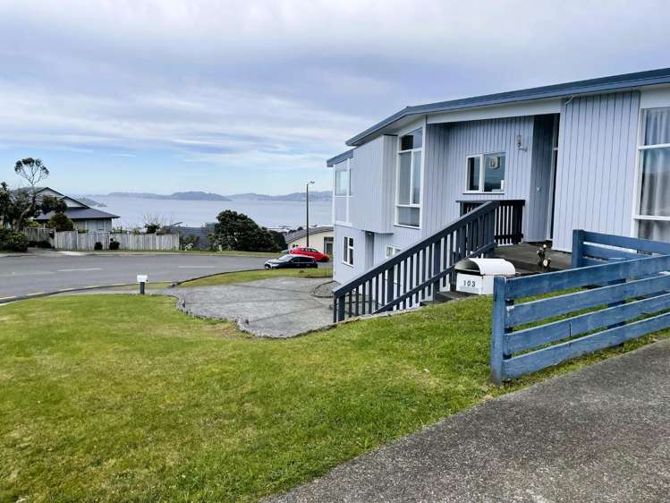 103 Dowse Drive_0
