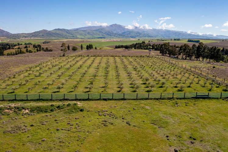 267 Springvale Road_5