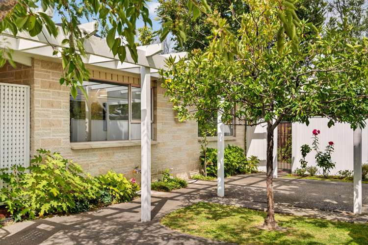 57 Avenue Road Greenmeadows_23