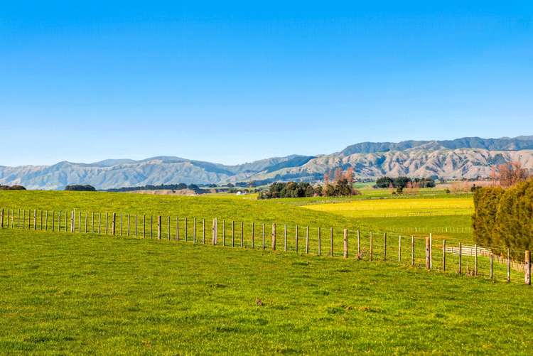 208 Kukutauaki Road Koputaroa_24