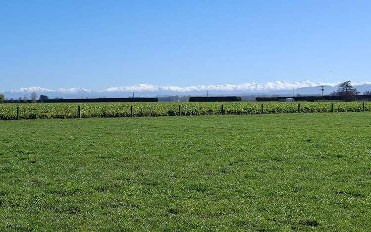 21 Dominion Road Timaru_13