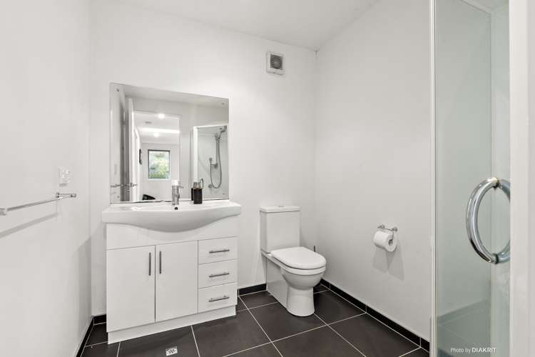 130a Aro Street Aro Valley_11