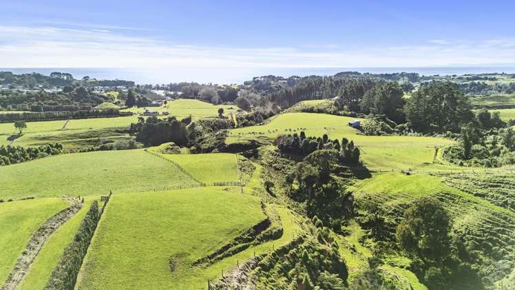 29 Wilson Road Urenui_14