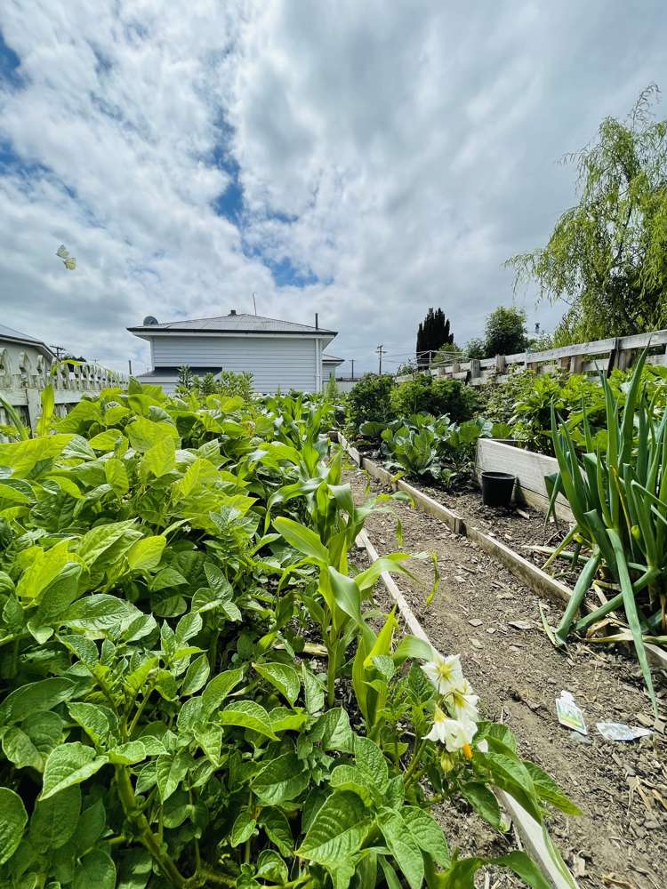 53 Hastings Street Ohai_16