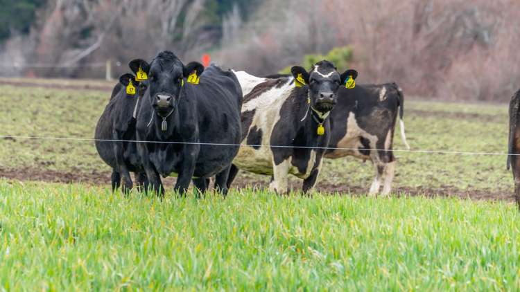 205 Barrs Road Sheffield_21