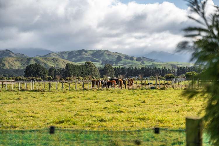 76 Jordan Road Carterton_17