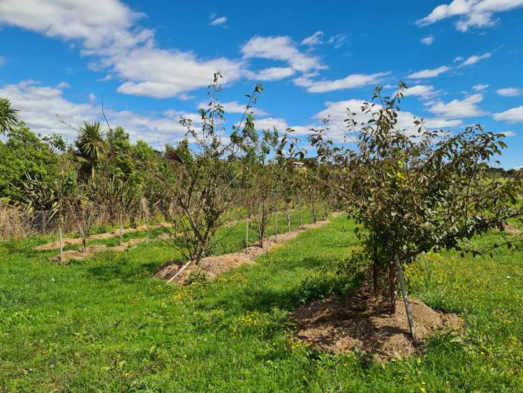 433 Mangapai Road Mangapai and Surrounds_10