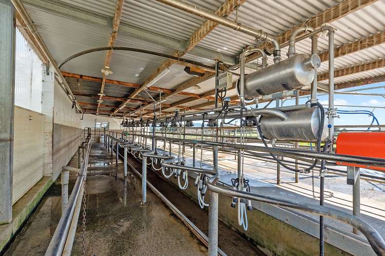 711 Horrell Road Morrinsville_6