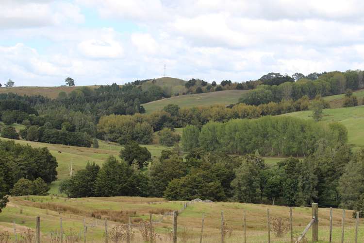 Aponga Road Ruatangata_5