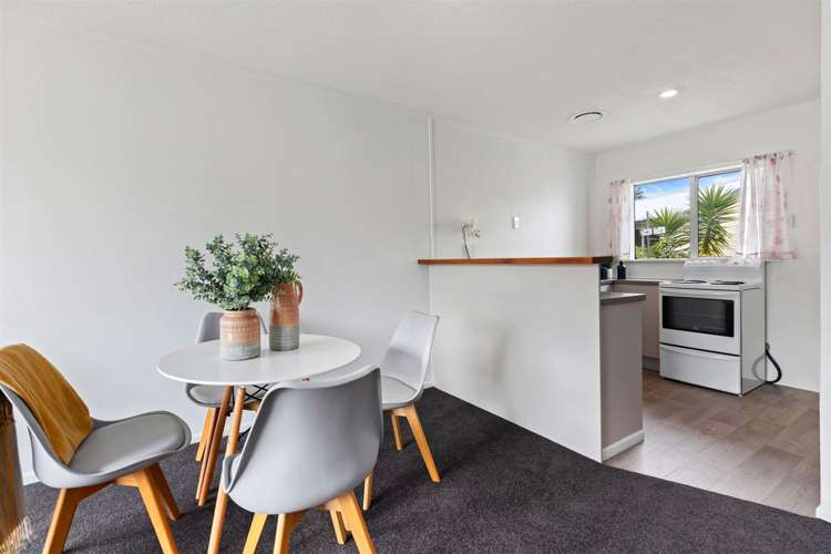 411b Ngatai Road Bellevue_5