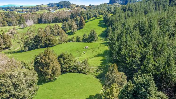 153 Omapere Road Kaikohe_28