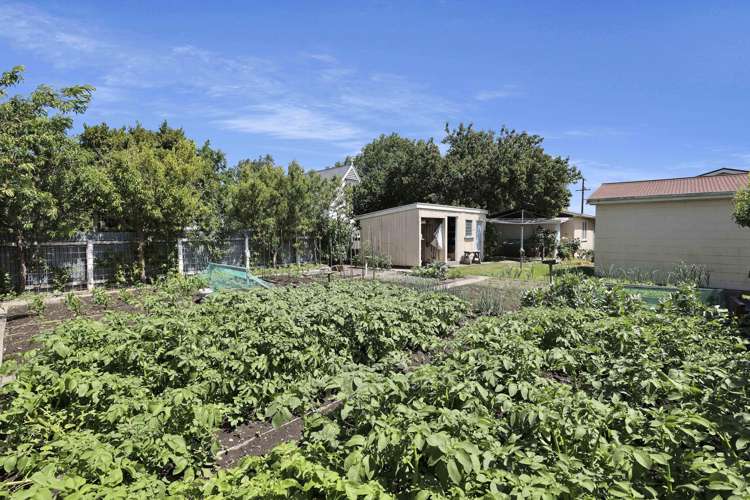 149 Thomson Street Tinwald_38