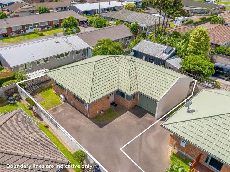 723C Cameron Road Tauranga South_20