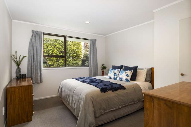 62 Park Terrace Blenheim Central_8