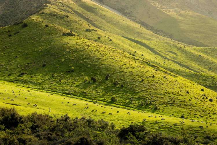 1551 Double Hill Run Road Rakaia Gorge_18