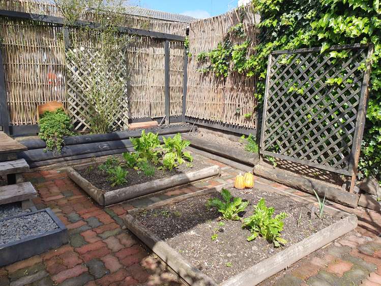 609a Swanson Road Swanson_18