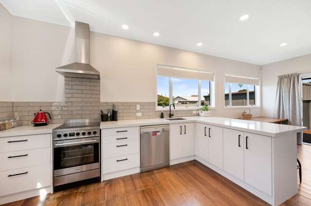 44 Douglas McLean Avenue Marewa_4