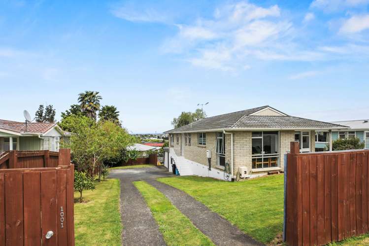 1001 Picquet Hill Road Te Awamutu_17