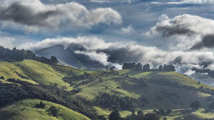 5447 Christchurch Akaroa Road Duvauchelle_28