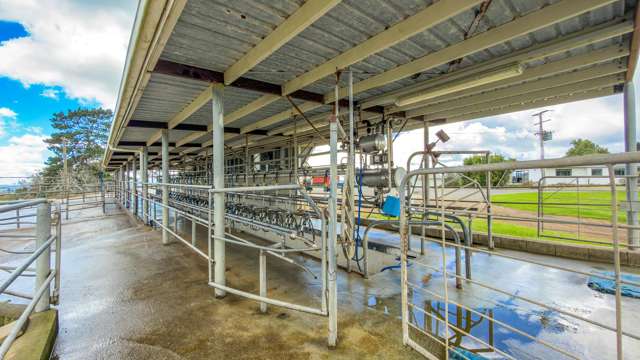 103A Ginn Road Huntly_3