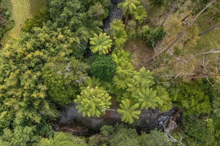 383a Lockington Road Aongatete_27