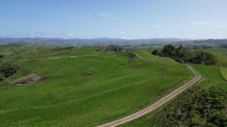 953 State Highway 3 Piopio_14