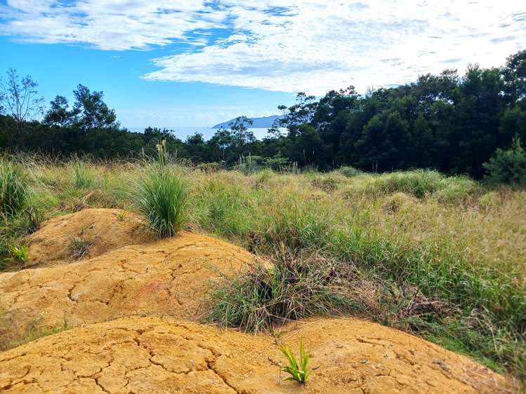 104 Stratford Drive Cable Bay_17