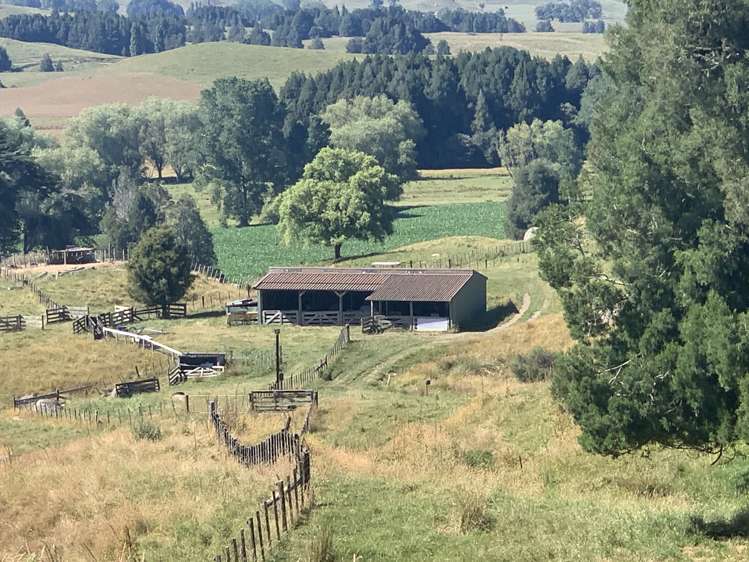 1246 State Highway 3 Te Kuiti_14