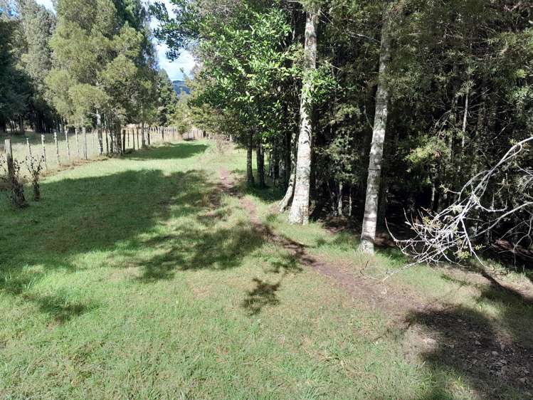 596 Waimate North Road Kerikeri_8