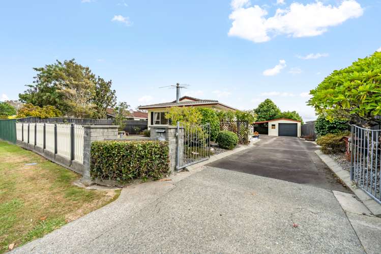 33 Shanly Street Brown Owl_17