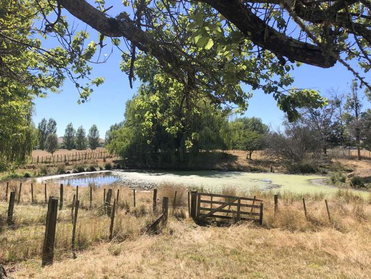 83 Porangahau Road Waipukurau and Surrounds_20