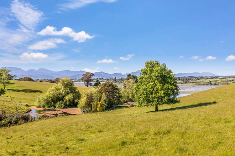 125 Higgs Road Mapua_19