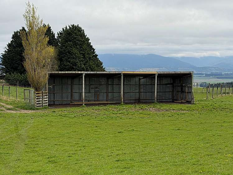 150 Mulvey Road Eastern Bush_12