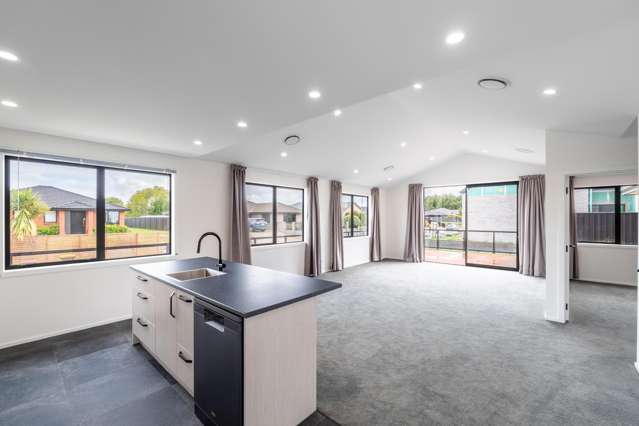 97 Hoffman Court Waikiwi_1