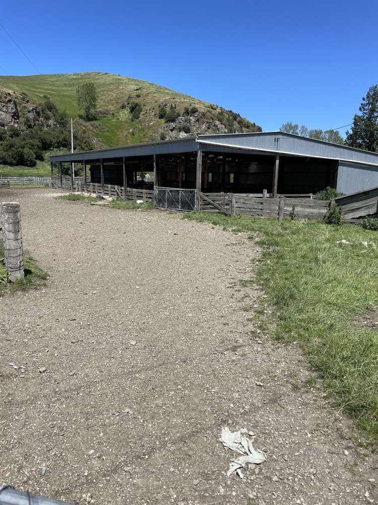 575 Tuapeka Flat Road Lawrence_15