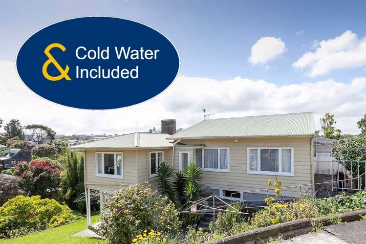 28B Bond Street Grey Lynn_18