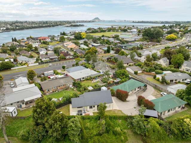 93 Maungatapu Road Maungatapu_2