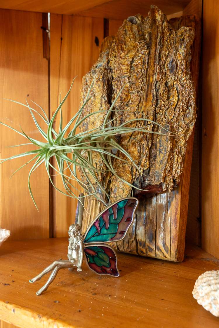 43 Collins Road Melville_21