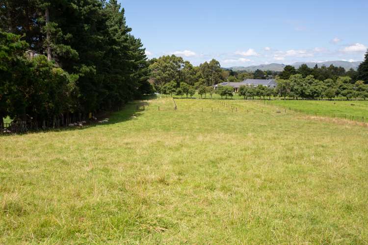 133 Adelaide Road Dannevirke_12