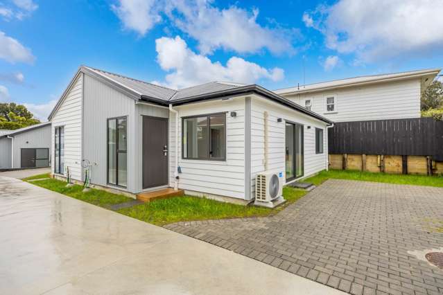 29b Fruitvale Road New Lynn_1