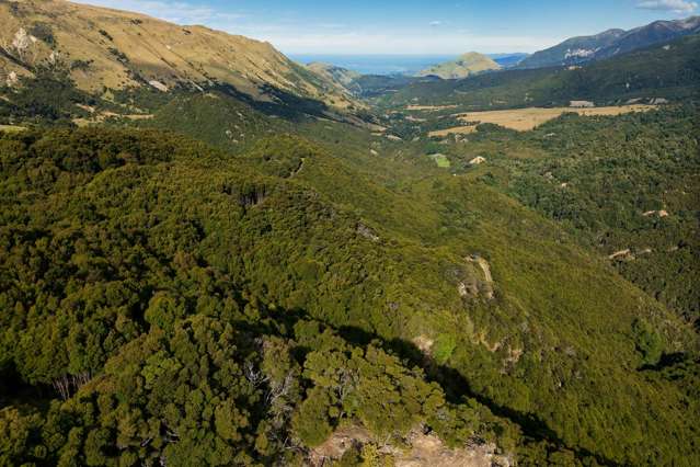 Lot 3/DP403510 Puhi Puhi Valley Road Kaikoura_1