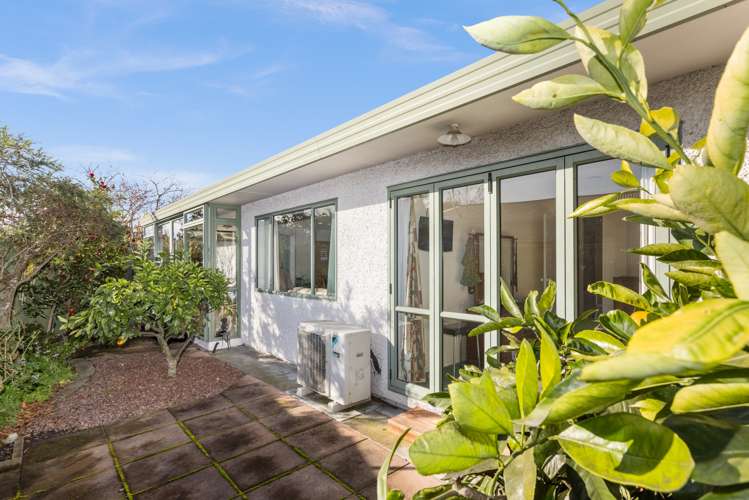 612c Fitzroy Avenue Mahora_10