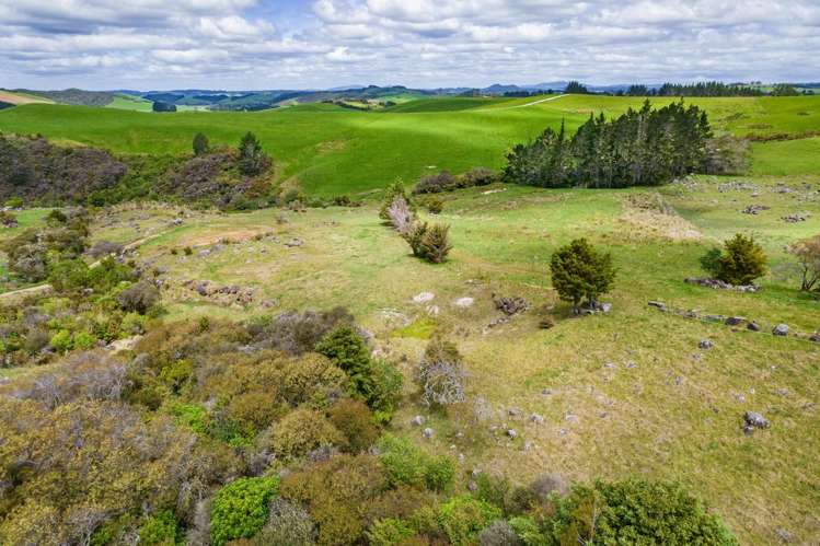 183A Wiroa Road Kerikeri_30