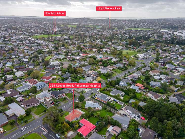 125 Reeves Road Pakuranga Heights_26