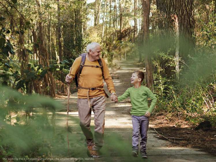 6 Pamela Crescent Papakura_9