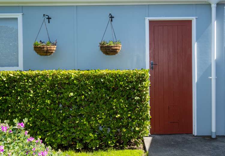 302b King Street South Hastings_13